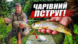 Product video preview