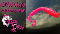 Product video preview