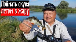 Product video preview