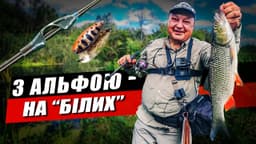 Product video preview