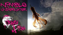 Product video preview